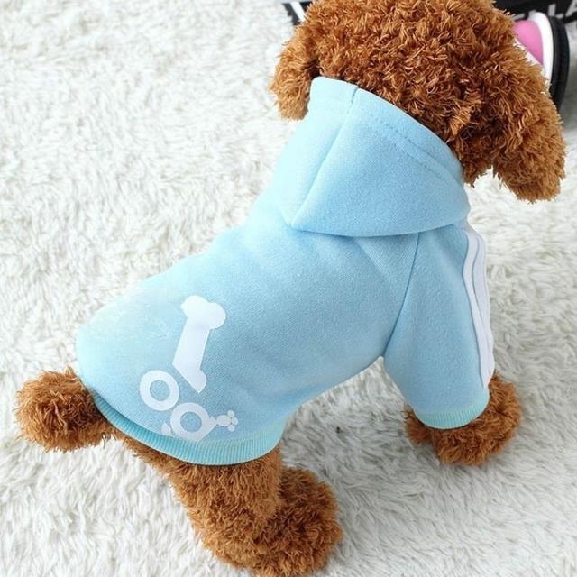 Roupa para Cachorro Adidog - Seu Cachorro Andando com Estilo ! - DUKSTORAGE